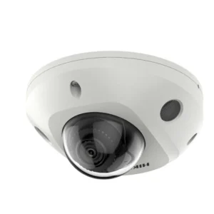 Camera IP Hikvision DS-2CD2546G2-IWS